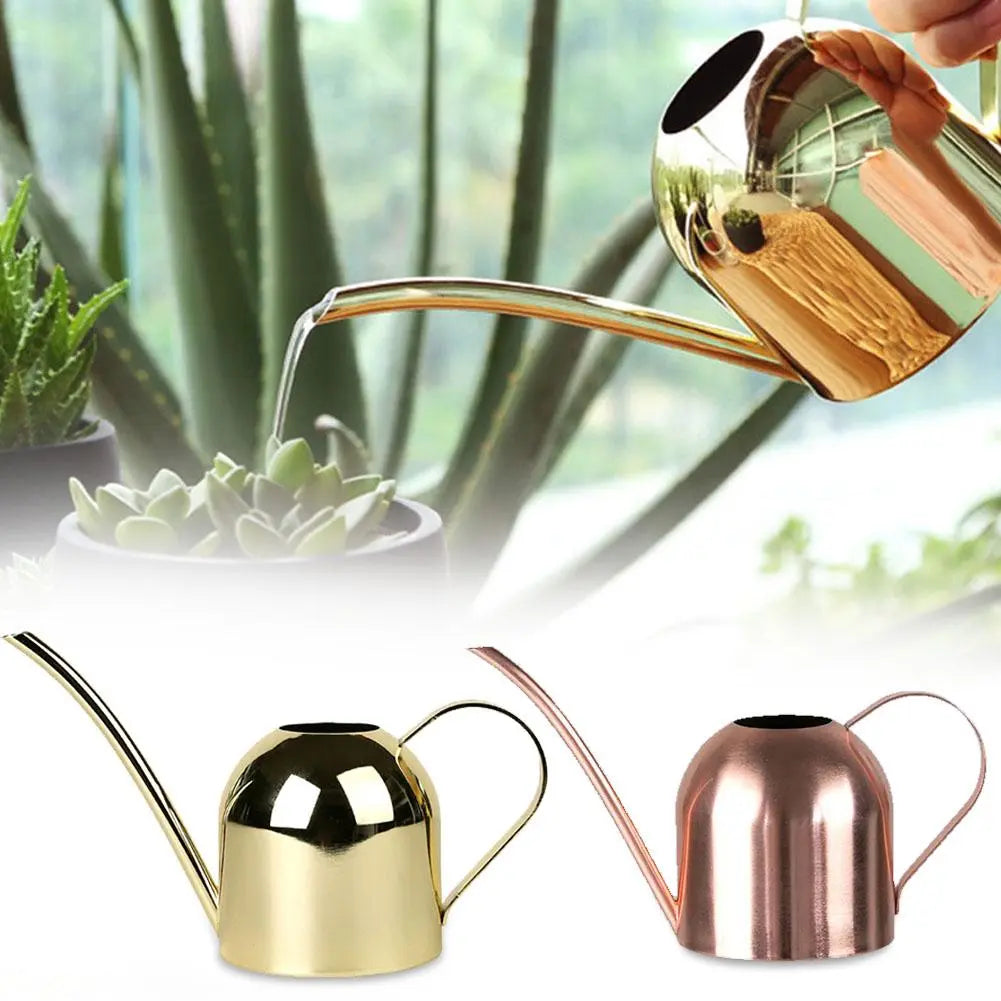 Stainless Steel Kettle Watering Can