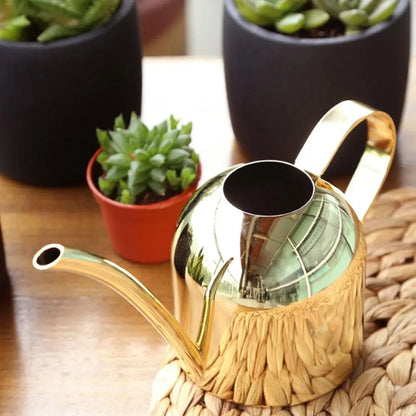 Stainless Steel Kettle Watering Can