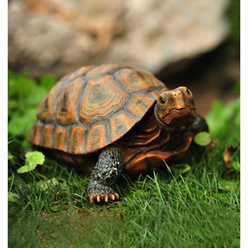 Garden Tortoise / Turtle Ornament