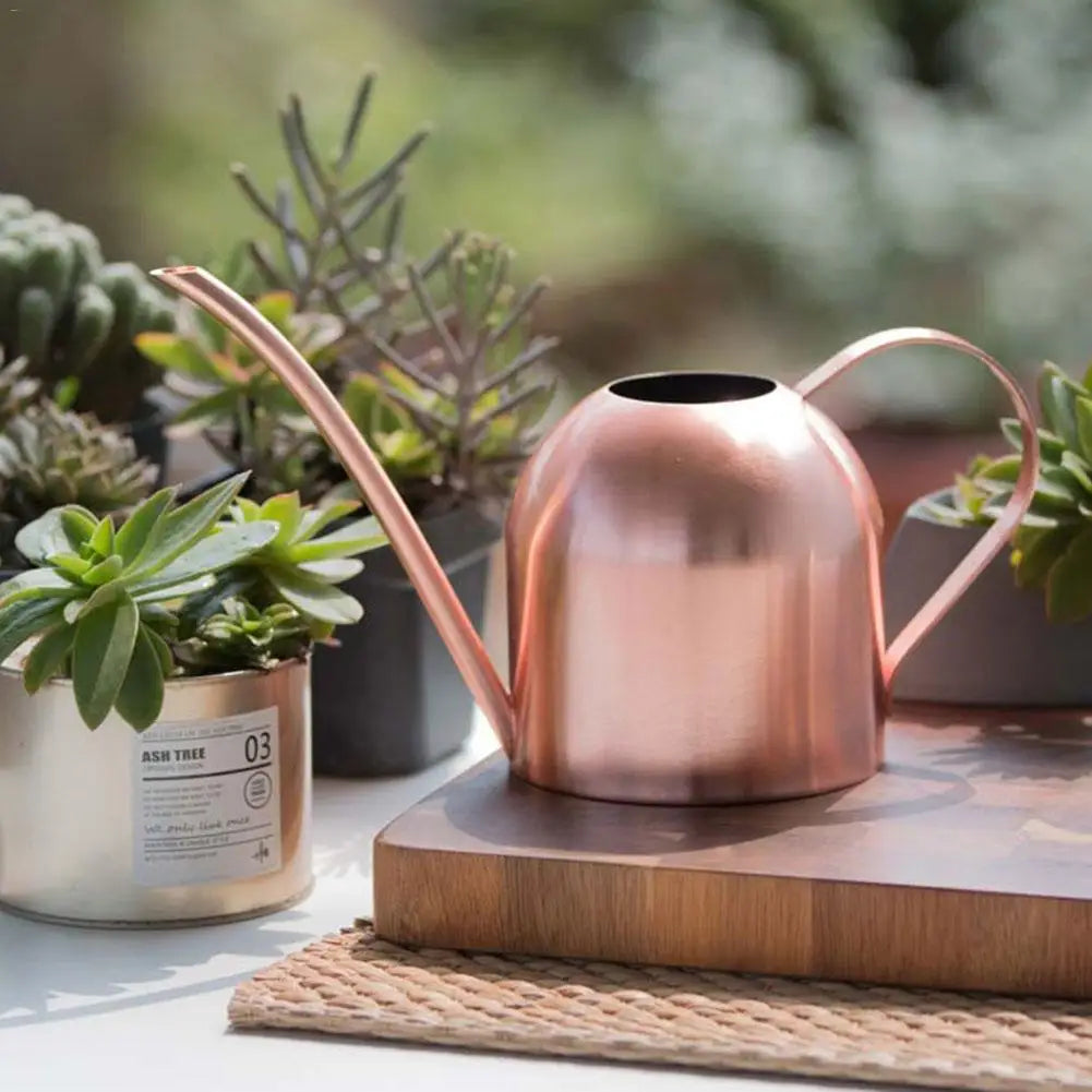 Stainless Steel Kettle Watering Can