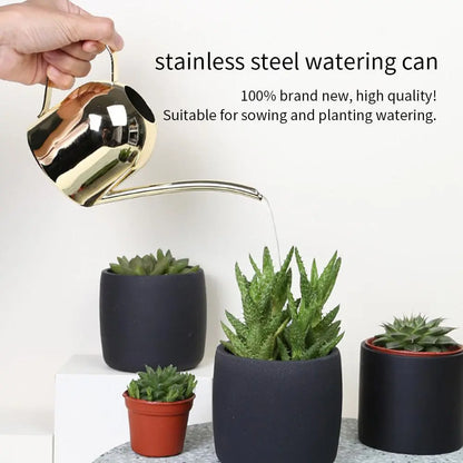 Stainless Steel Kettle Watering Can