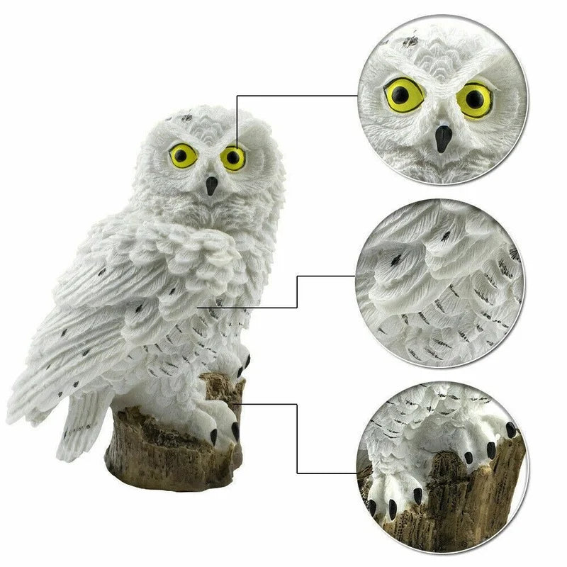 LED Solar Powered Owl Light