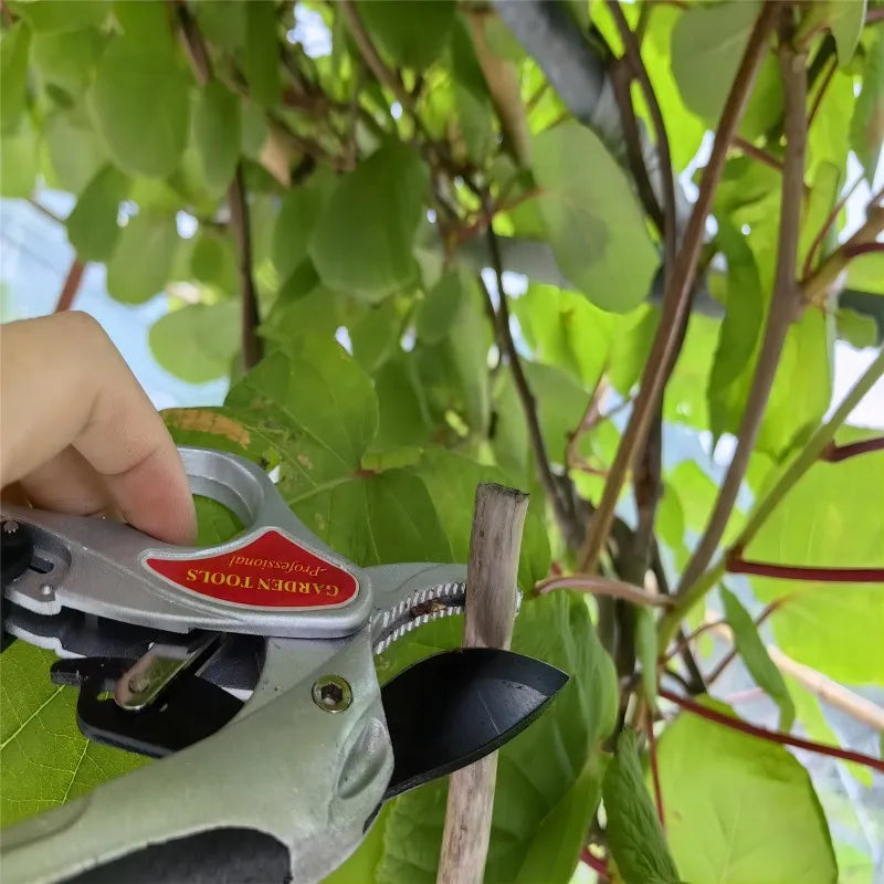 Ratchet Garden Pruning Shears